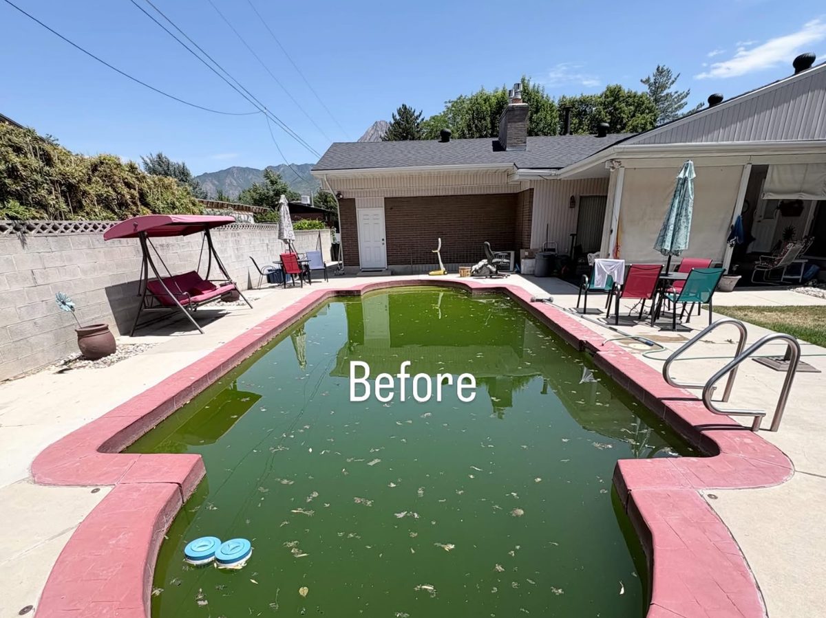 A green, algae-filled backyard pool in Salt Lake County before treatment